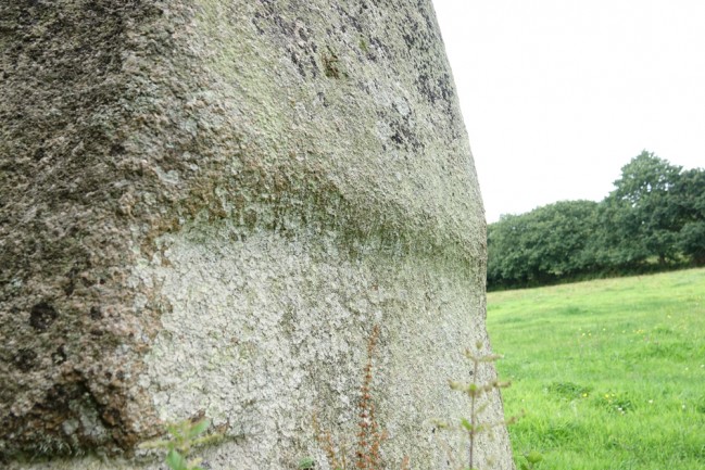 La longue pierre 6