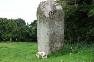 La longue pierre 1