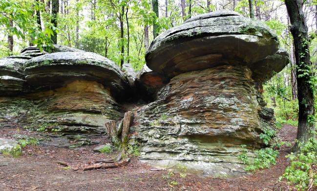 Mushroom_shaped_rock_formations_at_Garden_of_the_Gods_Shawnee_National_Forest_Illinois-1