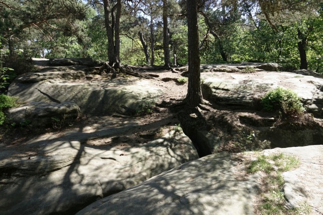 Isterberg_Plateau_Bäume