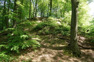 Alde Berg
