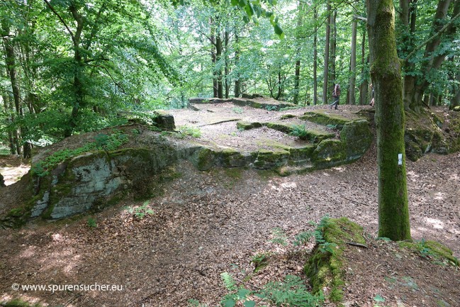 Burgstall_Gutenfels59