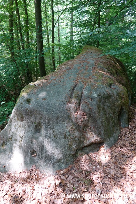 Burg-Lichtenstein-Sagenpfad-Magnetstein2