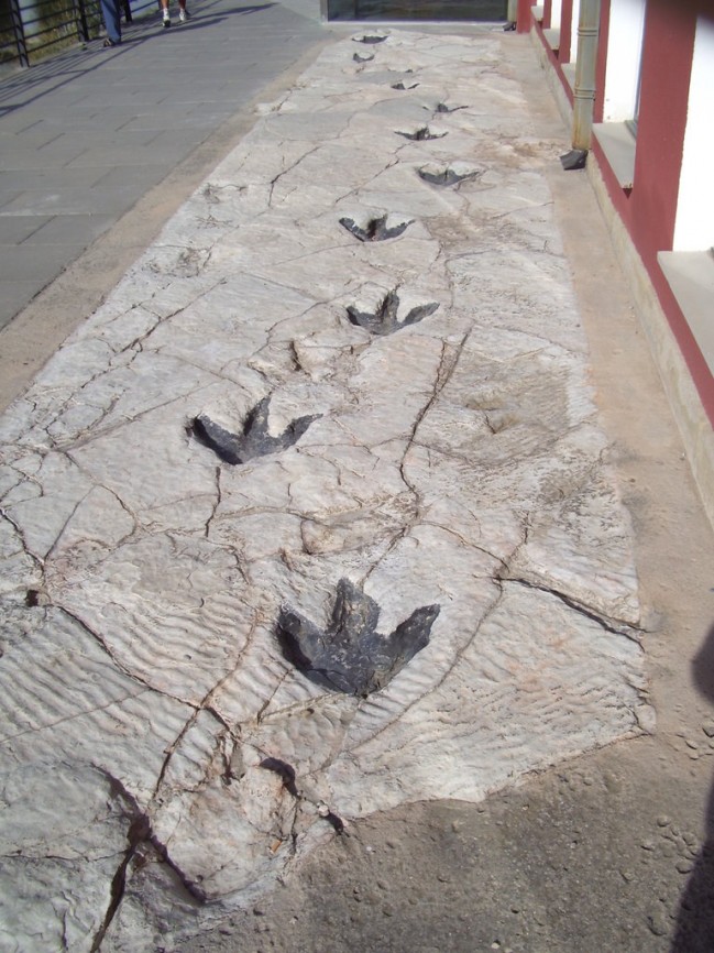Reproduction_of_Dinosaur_Footprints_in_Science_Museum_in_Logroño
