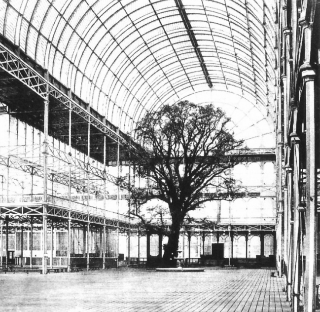 Crystal_Palace_Great_Exhibition_tree_1851
