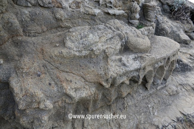 Rochers sculptés de Rothéneuf30