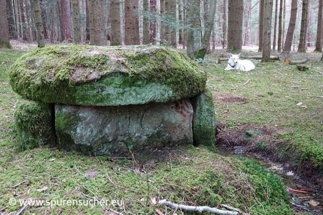 Quellenmegalith_Nordschwarzwald_Spurensucher6