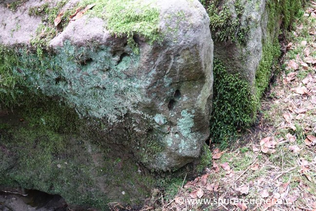 Quellen_Megalith_Nordschwarzwald_Spurensucher.2