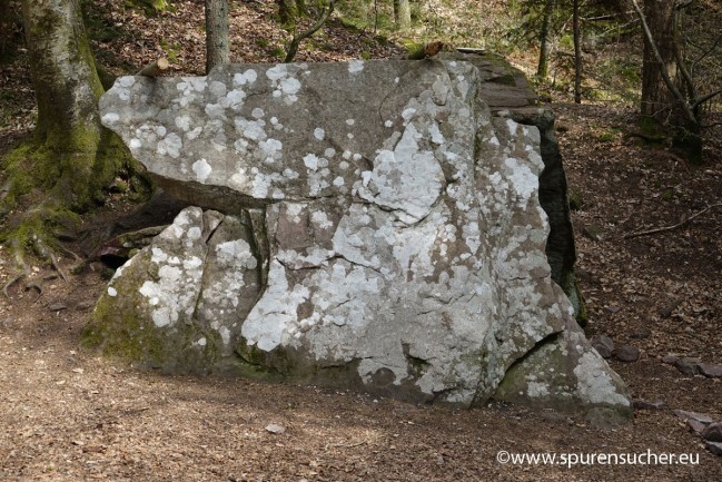 Geigerles-Lotterbett_Spurensucher04