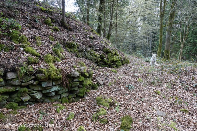 Geigerles-Lotterbett_Spurensucher20