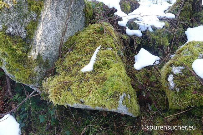 Dolmen_Schluchsee_11