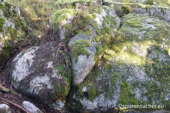 Dolmen_Schluchsee_9