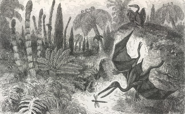 Pterodactyls_-_The_World_before_the_Deluge_(1865),_plate_XVI,_opposite_210_-web