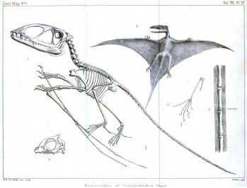 Geologisches_Magazin_Web.jpg