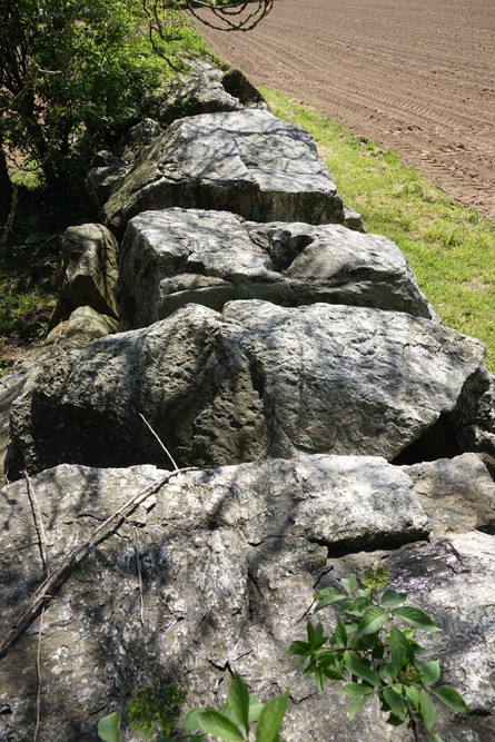 Dolmen_du_Breuil