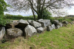 Dolmen_du_Breuil7