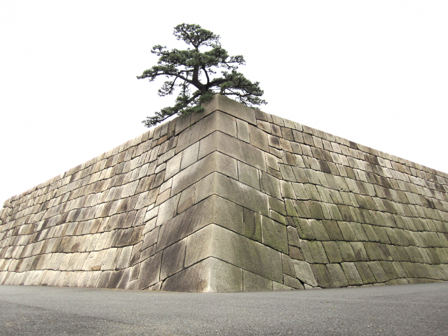 Edo_castle_Hon-maru_04_web